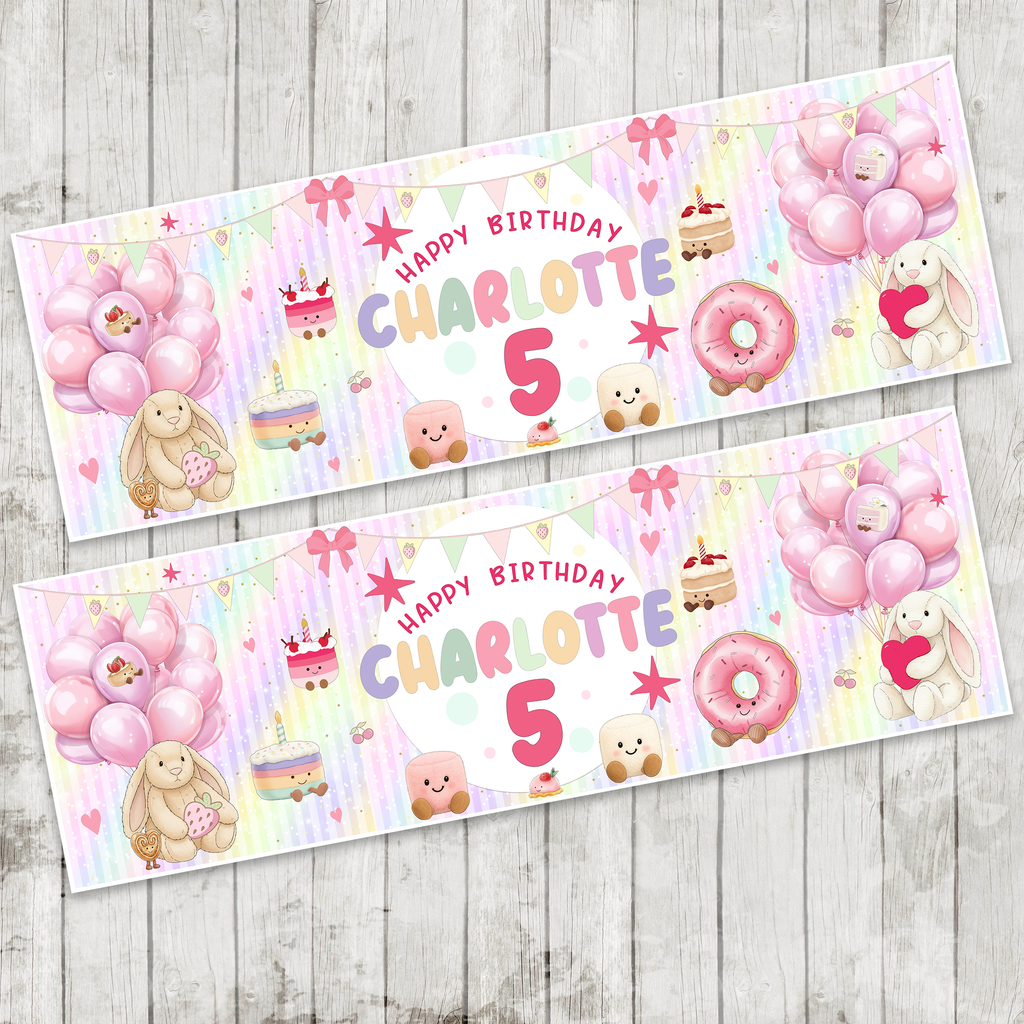 Girls Party Banner x 2