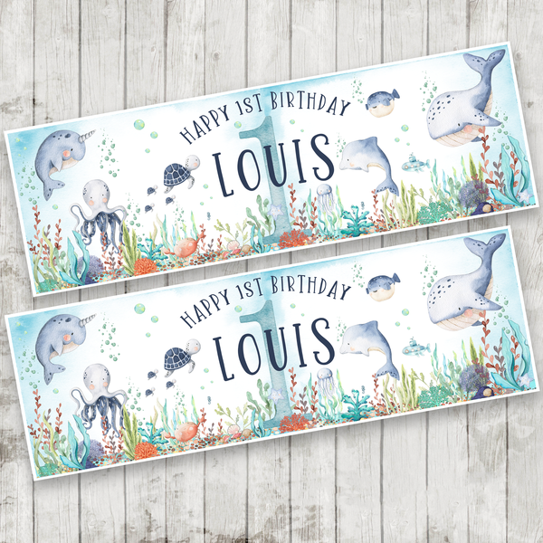 Boys Under the Sea Party Banner x 2 (Copy)